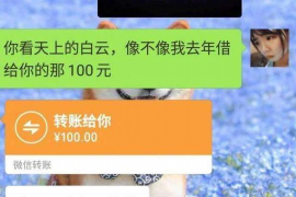 长垣遇到恶意拖欠？专业追讨公司帮您解决烦恼