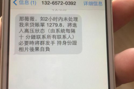 长垣为什么选择专业追讨公司来处理您的债务纠纷？